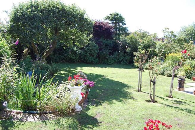 garden view 1