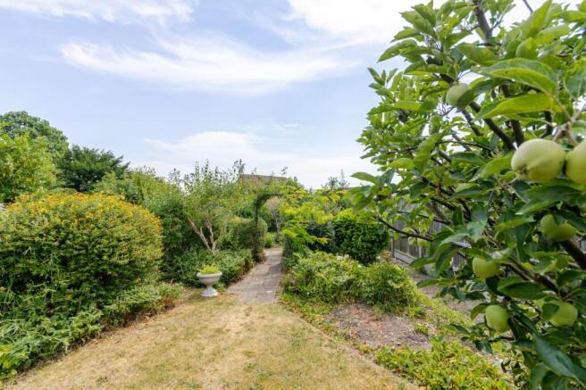 Garden 2