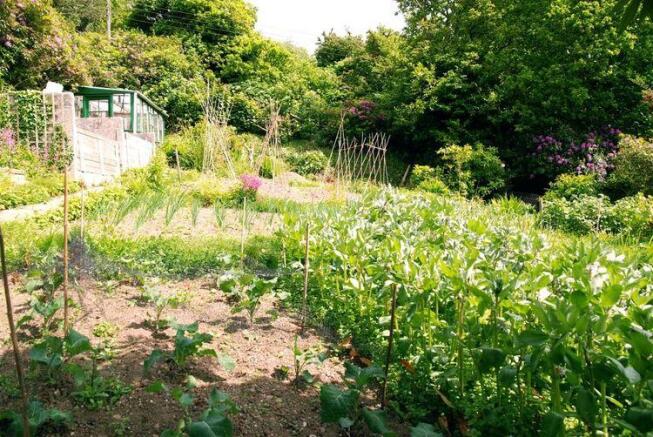 GARDEN