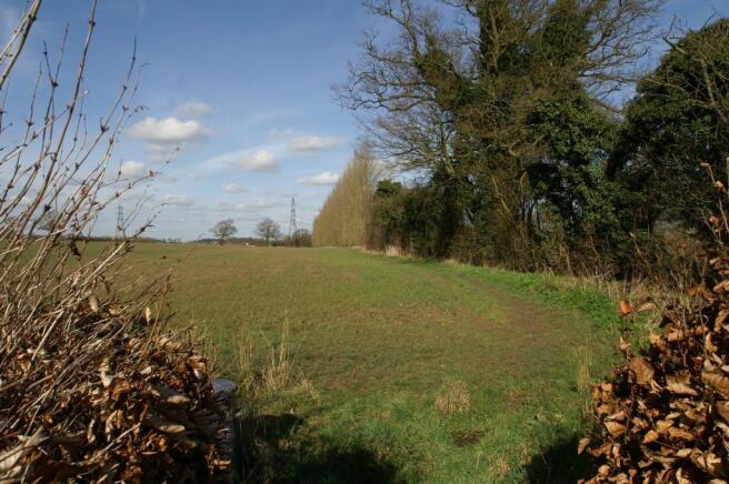 Fields at Rear