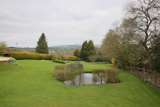 View across garden.
