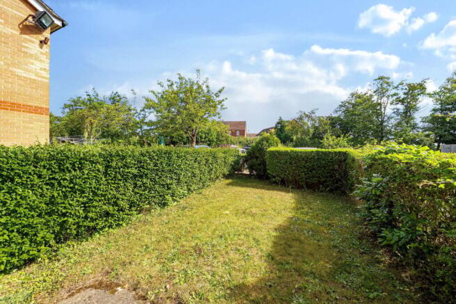 Photo 15