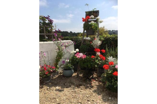 Cottage Garden