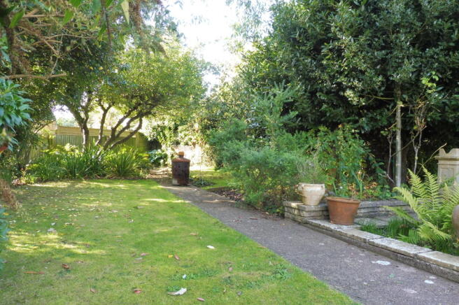 Photo 15