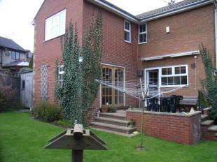 Back Garden