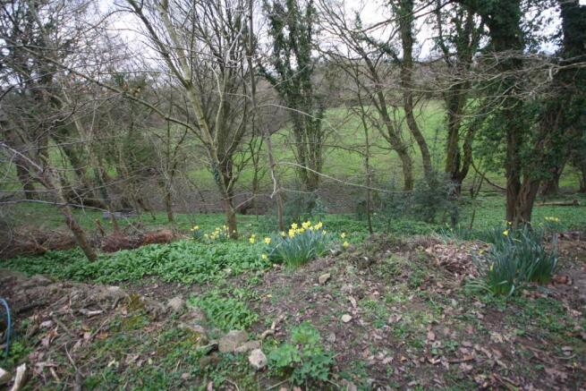 FURTHER AREA OF GARDEN