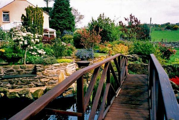 Bridge