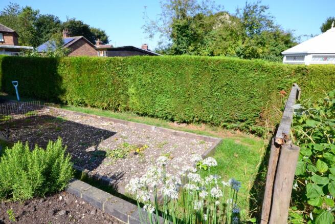 Vegetable Patch