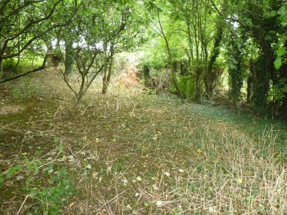 Orchard