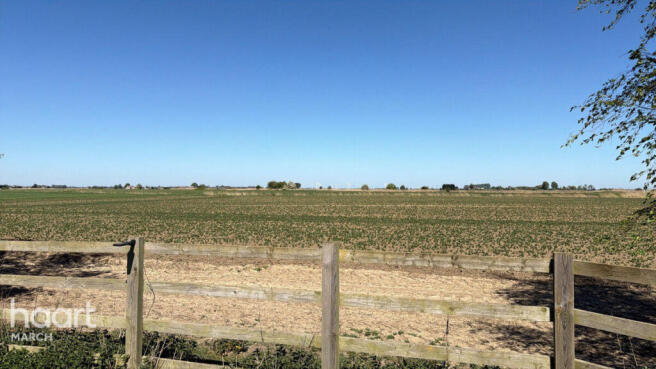 Coleseed Road, March photo 5