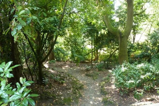 Communal Grounds