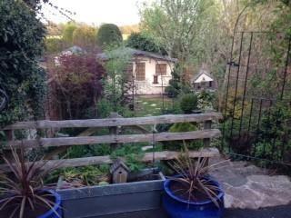 Photo 22