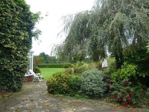 Photo 11