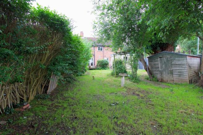 Garden 3