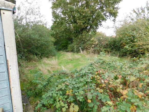 garden 2