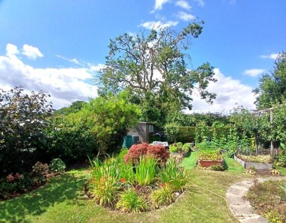 Garden 1.jpg