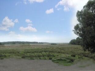 View from site