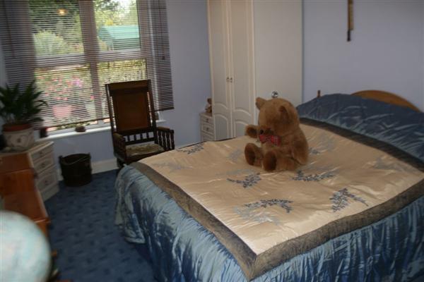 Photo 5