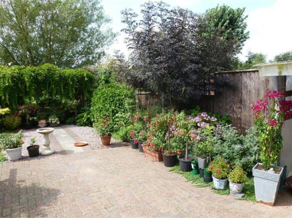 Photo 11