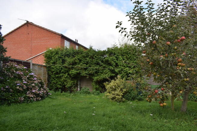 Photo 20