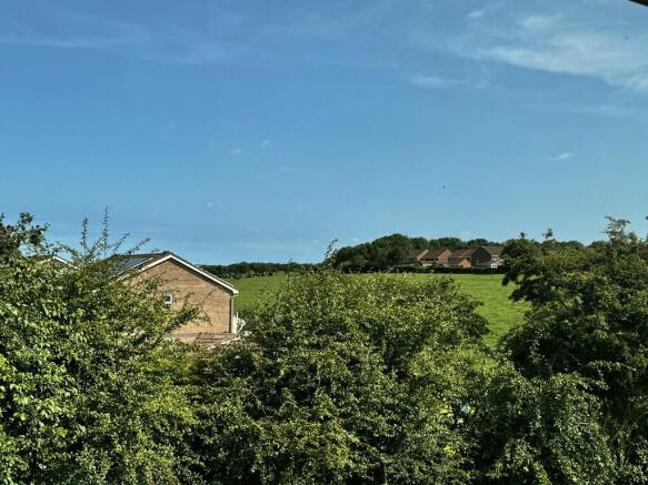 View From Kitchen