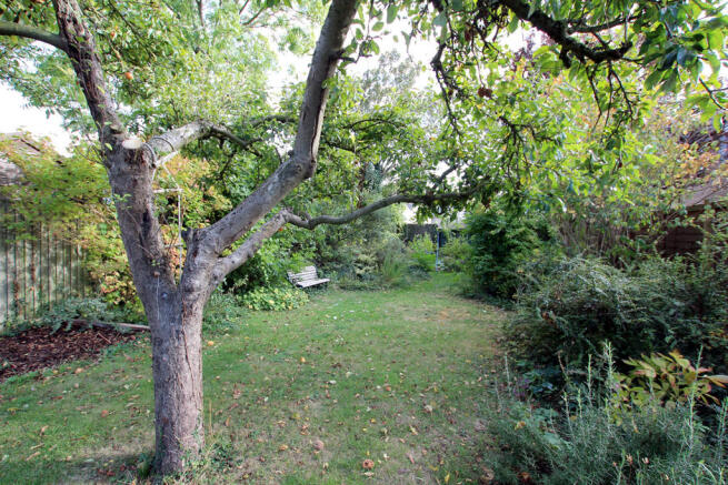 Photo 25