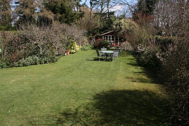 rear garden.JPG