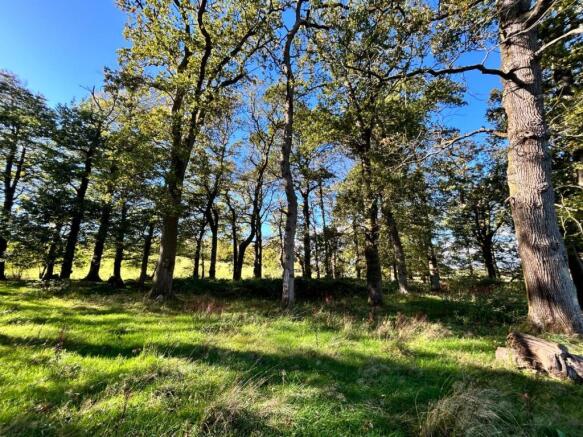 Photo 08-10-2025, 14 30 28.jpg