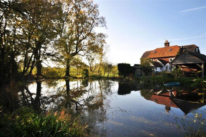 Pond
