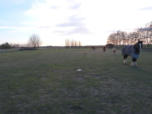 Land