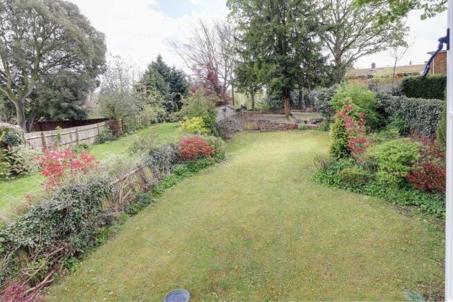 Garden at Back