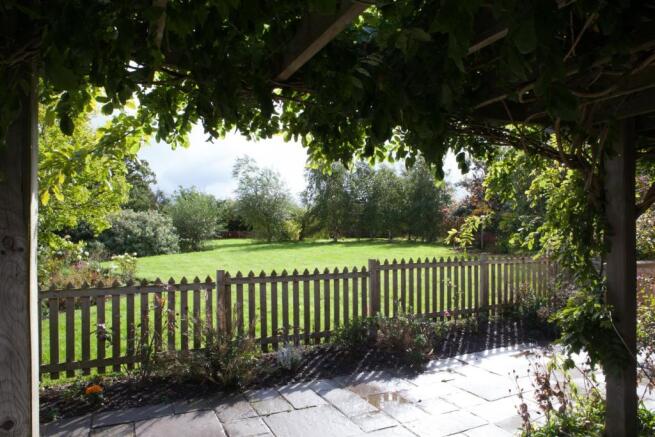 patio under pergola