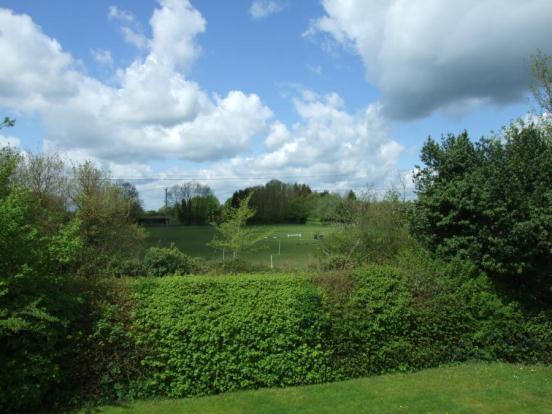 FIELD VIEWS