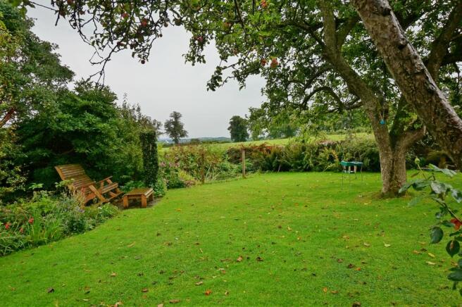 Garden7