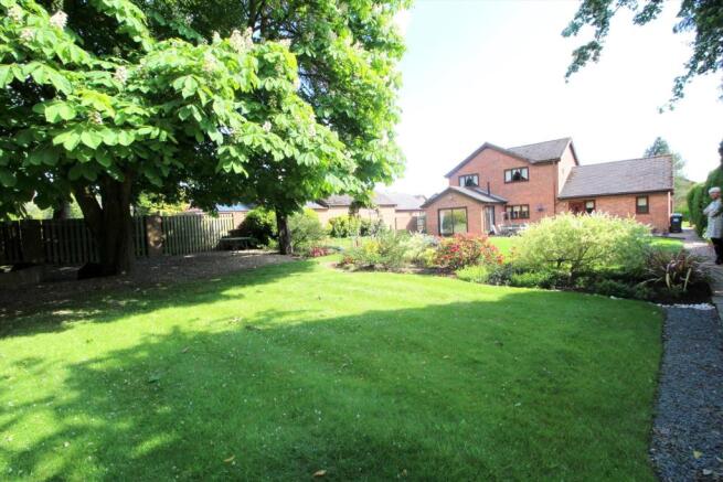 Garden,