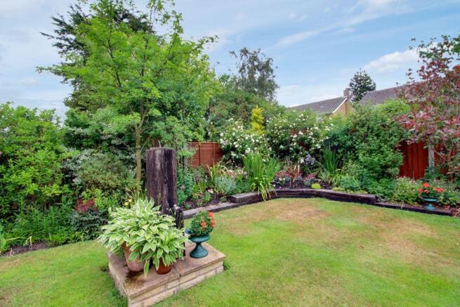 Garden at Back