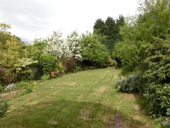 Hollywood Lane 10 garden 2.jpg