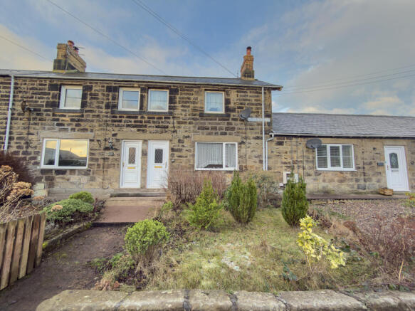 IMG 0398 2 T202601141730.jpg