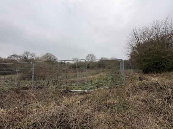 2  Medium  T202602021050.jpg