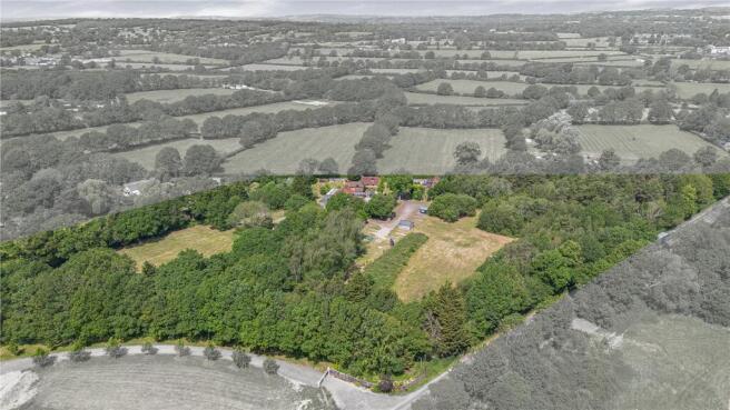 The Property