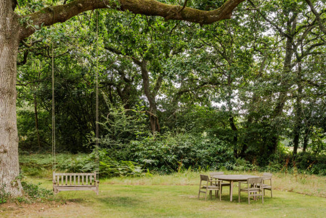 303829 - Woodpeckers-69.jpeg