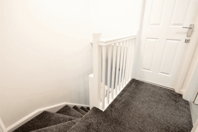DSC_5077.gif