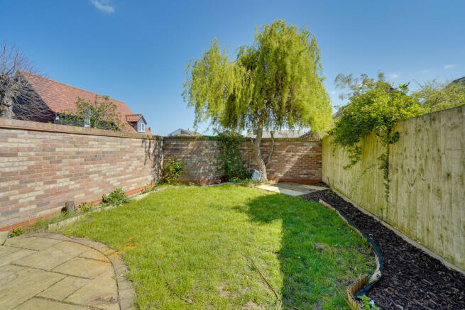 Back Garden