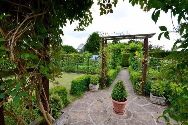 VINES