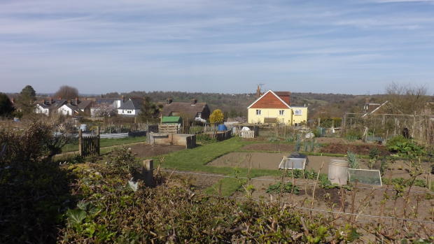 Photo 4