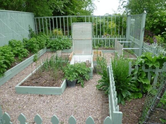 Vegetable Area