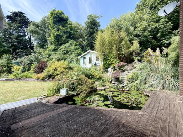 Pond