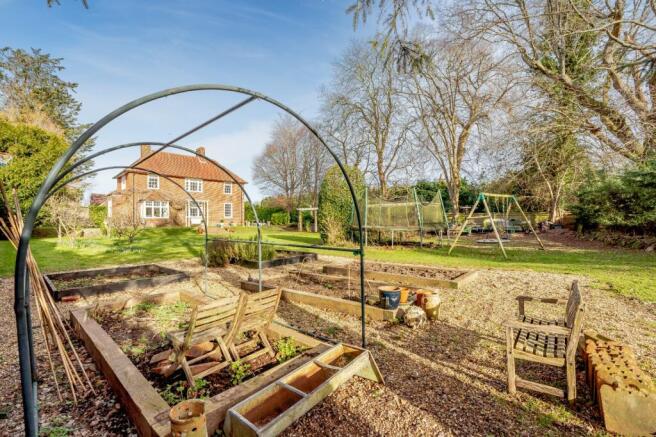 Vegetable Garden