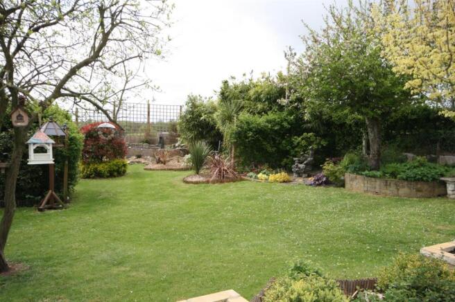 garden 1.JPG