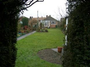 Picture No.12